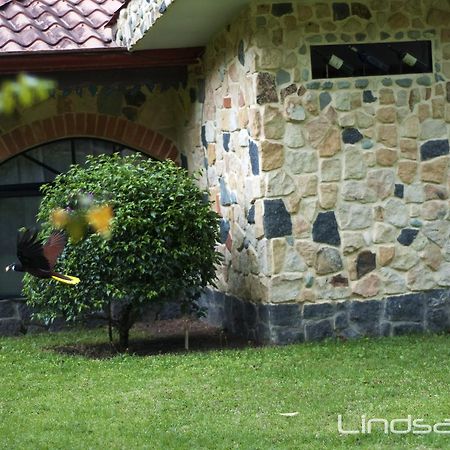 Gingerbread Restaurant & Hotel Nuevo Arenal Dış mekan fotoğraf